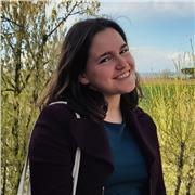 Diplomata offre lezione di ripetizioni di lingua INGLESE e FRANCESE